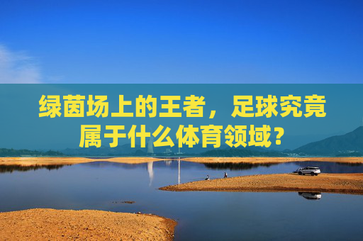 绿茵场上的王者,足球究竟属于什么体育领域?