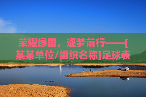 荣耀绿茵，逐梦前行——[某某单位/组织名称]足球表彰大会隆重举行