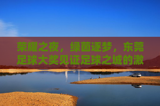 荣耀之夜,绿茵逐梦,东莞足球大奖见证足球之城的激情与荣光