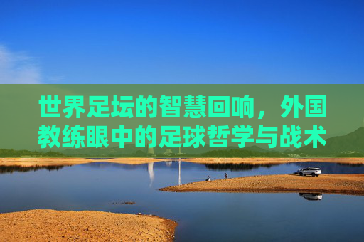 世界足坛的智慧回响,外国教练眼中的足球哲学与战术革新