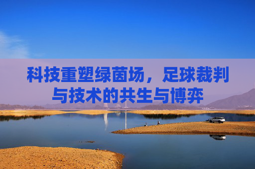 科技重塑绿茵场,足球裁判与技术的共生与博弈