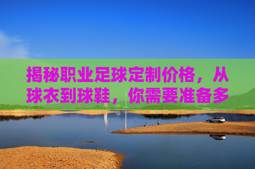 揭秘职业足球定制价格,从球衣到球鞋,你需要准备多少预算?