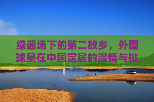 绿茵场下的第二故乡,外国球星在中国定居的温情与挑战