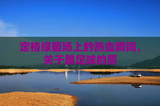 定格绿茵场上的热血瞬间,关于踢足球的照