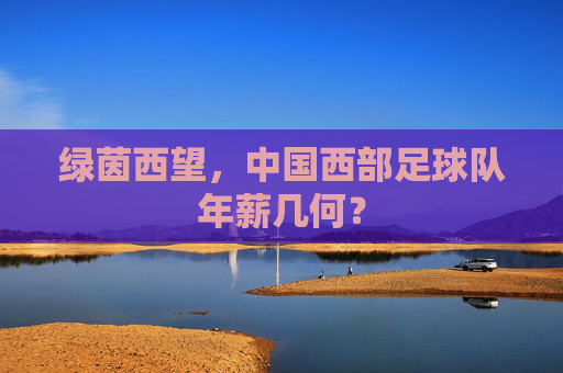 绿茵西望,中国西部足球队年薪几何?