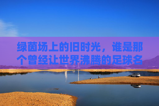 绿茵场上的旧时光,谁是那个曾经让世界沸腾的足球名宿?