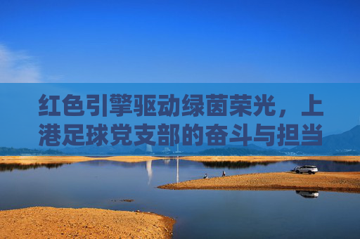 红色引擎驱动绿茵荣光,上港足球党支部的奋斗与担当
