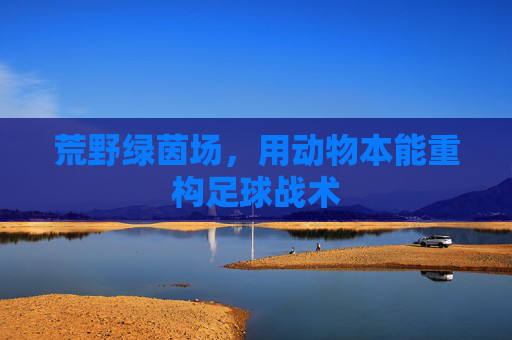 荒野绿茵场,用动物本能重构足球战术
