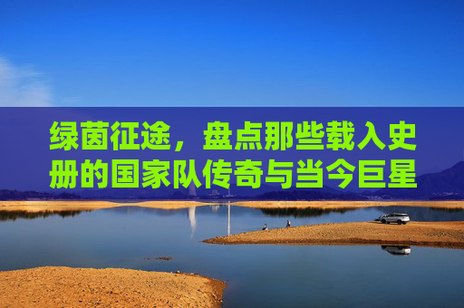 绿茵征途,盘点那些载入史册的国家队传奇与当今巨星