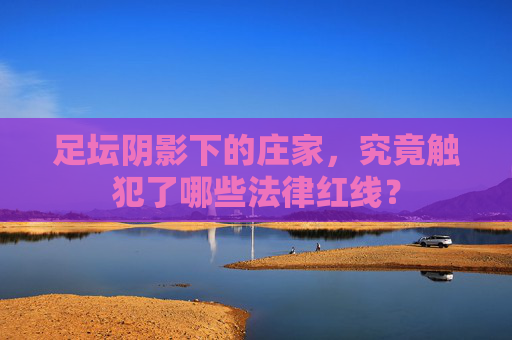 足坛阴影下的庄家,究竟触犯了哪些法律红线?