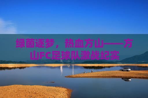绿茵逐梦,热血方山——方山FC足球队激战纪实