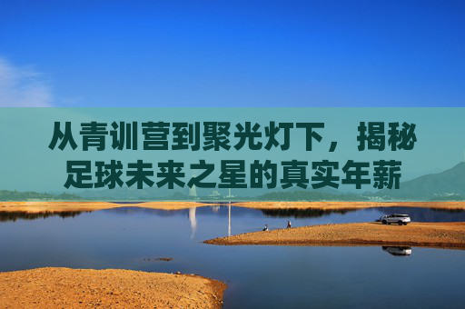 从青训营到聚光灯下，揭秘足球未来之星的真实年薪