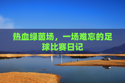 热血绿茵场,一场难忘的足球比赛日记