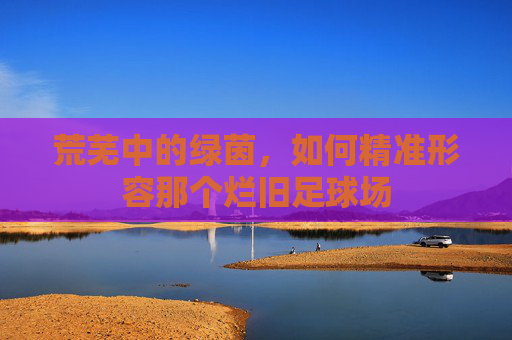 荒芜中的绿茵,如何精准形容那个烂旧足球场