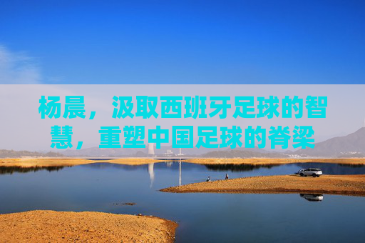杨晨,汲取西班牙足球的智慧,重塑中国足球的脊梁