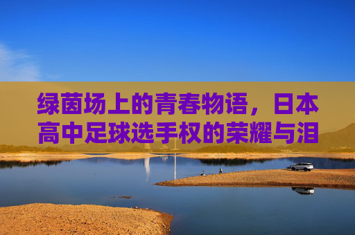 绿茵场上的青春物语,日本高中足球选手权的荣耀与泪水