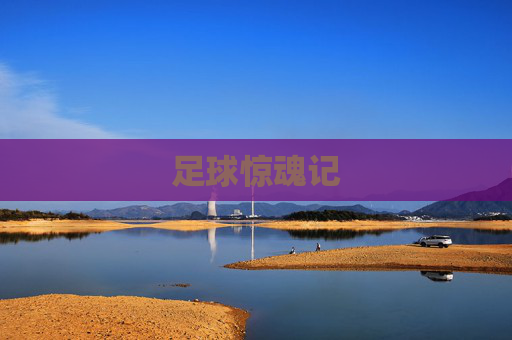 足球惊魂记