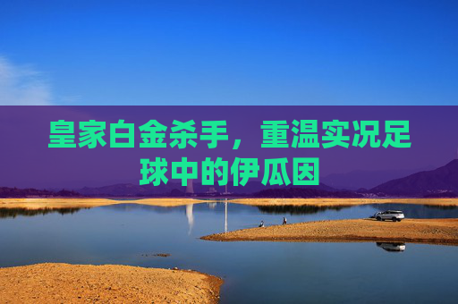 皇家白金杀手，重温实况足球中的伊瓜因