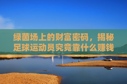 绿茵场上的财富密码，揭秘足球运动员究竟靠什么赚钱