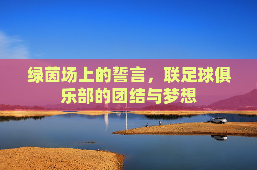 绿茵场上的誓言，联足球俱乐部的团结与梦想