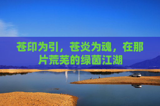 苍印为引，苍炎为魂，在那片荒芜的绿茵江湖