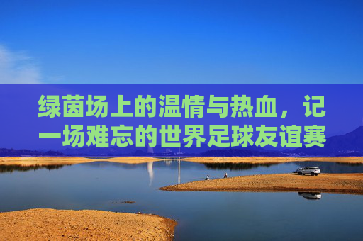绿茵场上的温情与热血，记一场难忘的世界足球友谊赛