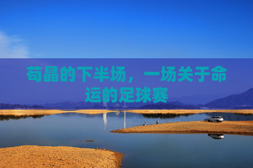 苟晶的下半场，一场关于命运的足球赛