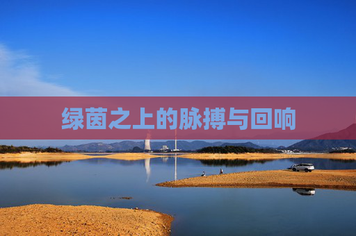 绿茵之上的脉搏与回响