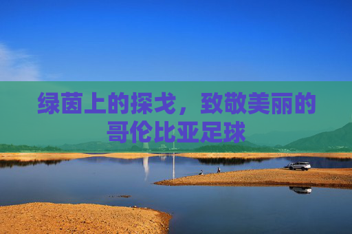 绿茵上的探戈，致敬美丽的哥伦比亚足球