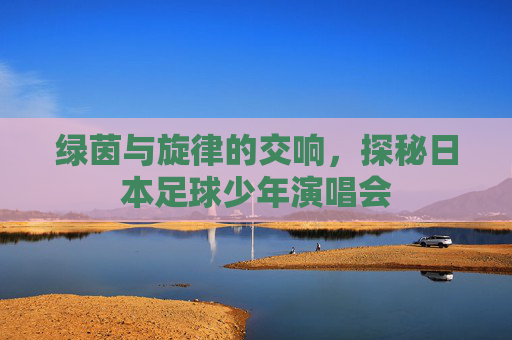 绿茵与旋律的交响，探秘日本足球少年演唱会