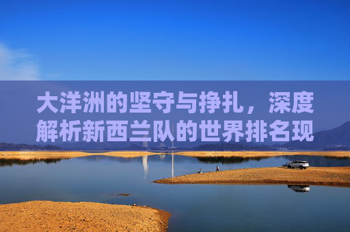 大洋洲的坚守与挣扎，深度解析新西兰队的世界排名现状