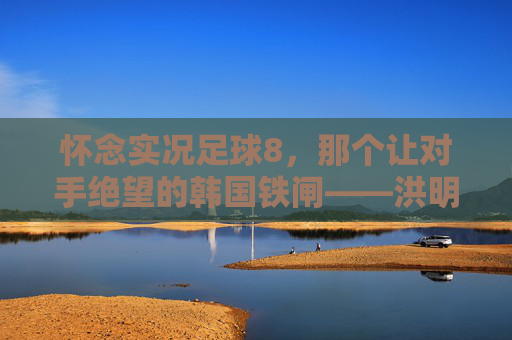 怀念实况足球8，那个让对手绝望的韩国铁闸——洪明甫
