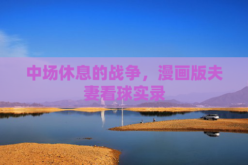 中场休息的战争，漫画版夫妻看球实录