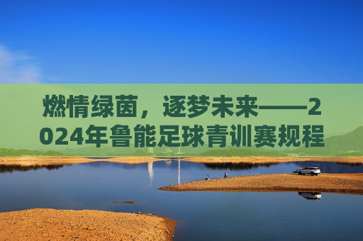 燃情绿茵，逐梦未来——2024年鲁能足球青训赛规程全解析