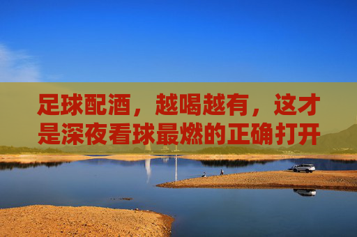 足球配酒，越喝越有，这才是深夜看球最燃的正确打开方式