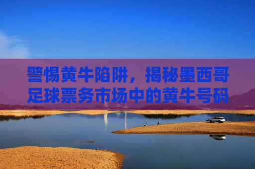 警惕黄牛陷阱，揭秘墨西哥足球票务市场中的黄牛号码