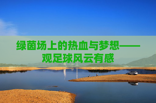 绿茵场上的热血与梦想——观足球风云有感