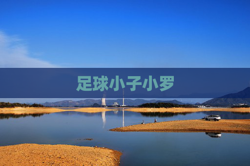 足球小子小罗