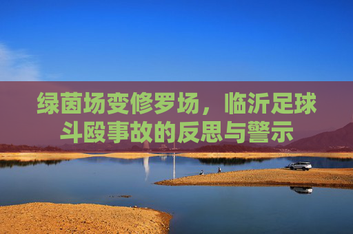 绿茵场变修罗场，临沂足球斗殴事故的反思与警示