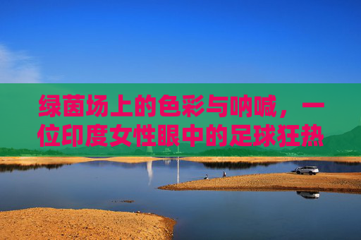 绿茵场上的色彩与呐喊，一位印度女性眼中的足球狂热