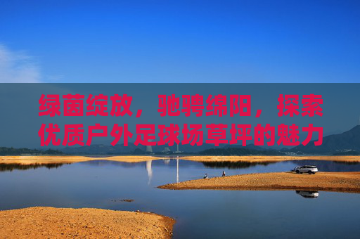 绿茵绽放，驰骋绵阳，探索优质户外足球场草坪的魅力