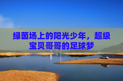 绿茵场上的阳光少年，超级宝贝哥哥的足球梦