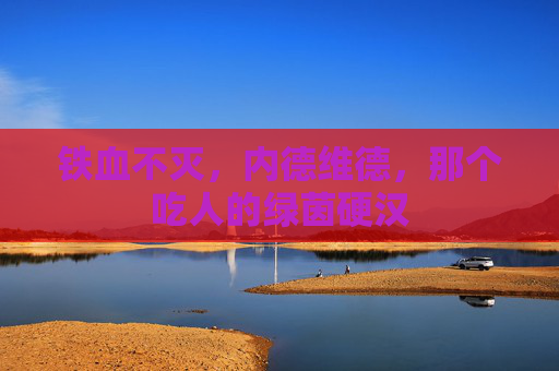 铁血不灭，内德维德，那个吃人的绿茵硬汉