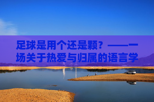 足球是用个还是颗？——一场关于热爱与归属的语言学辩证