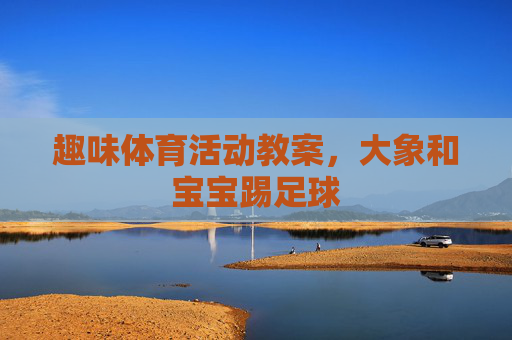 趣味体育活动教案，大象和宝宝踢足球