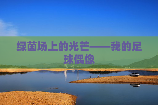 绿茵场上的光芒——我的足球偶像