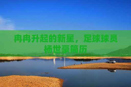 冉冉升起的新星，足球球员杨世豪简历