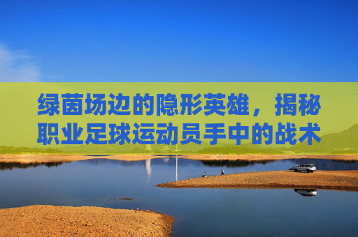 绿茵场边的隐形英雄，揭秘职业足球运动员手中的战术水杯
