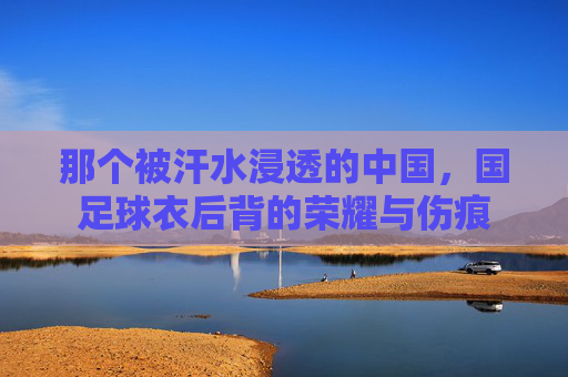 那个被汗水浸透的中国，国足球衣后背的荣耀与伤痕
