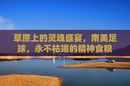 草原上的灵魂盛宴，南美足球，永不枯竭的精神食粮